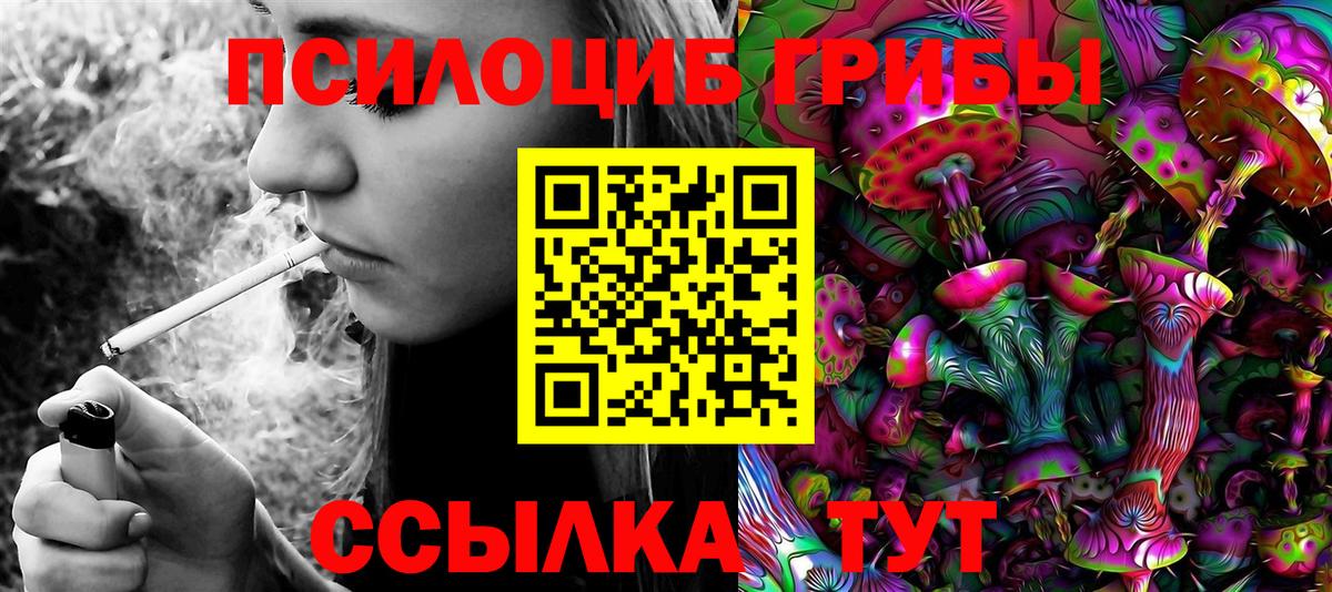 Псилоцибиновые грибы мицелий  Вход с VPN  Орёл  Псилоцибиновые грибы прущие грибы 